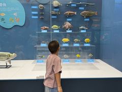 -国家自然博物馆