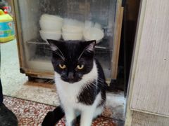 -春涛餐馆(下坝店)