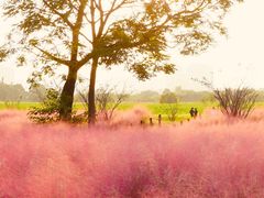 -汉长安城未央宫国家考古遗址公园