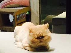 -小时光咖啡馆(开森度假森林店)