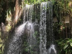 -华南国家植物园-售票处