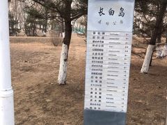 -长白岛森林公园