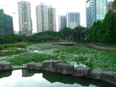 -四海公园(南山区)