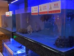 水产区-名苑皇宫酒家(来魅力壁画村店)