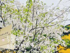 -龙华寺