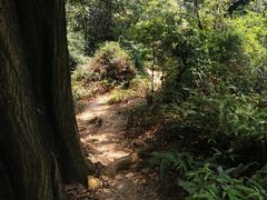-云溪植物园