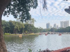 -荔湾湖公园