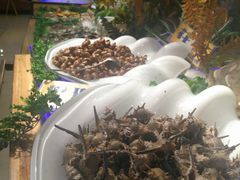 -银鲨海鲜烤肉火锅自助餐厅(五星店)