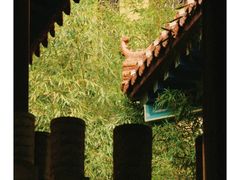 -正觉寺