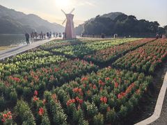 -广州市石门国家森林公园