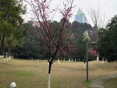 -百林公园-两江幸福广场