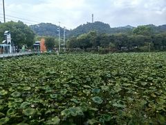 -红山村