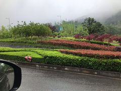 -铁山坪森林公园