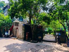 -野蔓果·山野菜(西湖景区·龙井茶田店)