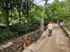 -雨花胜境