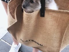 -Pets First伊珊娜洗护·精致美容·家庭式寄养(新会路店)