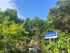-桃源山庄·水蜜桃采摘·柴火鸡·烧烤团建(龙泉山店)