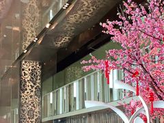-金轩中餐厅 Jin Xuan(浦东丽思卡尔顿酒店)