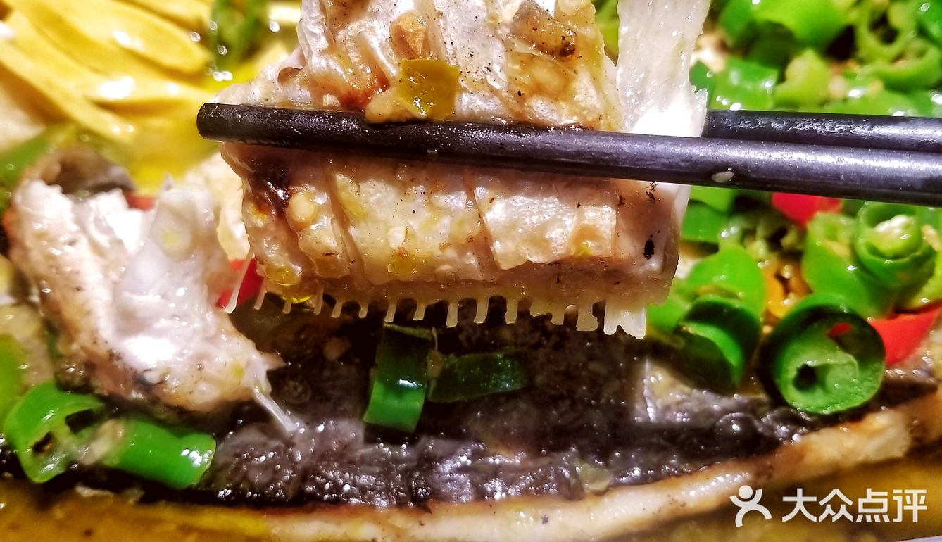 烤鱼只爱半天妖