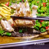 烤鱼只爱半天妖