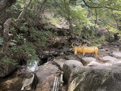 -红崖峡谷景区