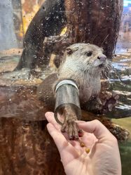 -Zoolung Zoolung动物主题公园(海信广场店)