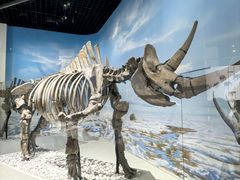 -国家自然博物馆