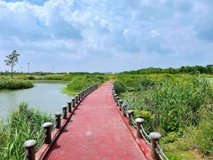 -春花秋色城市公园