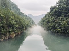 -九龙江国家森林公园