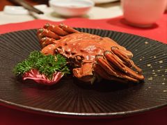 -毗陵醉·黑钻(湖塘店)
