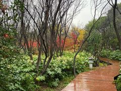 -洛阳市隋唐城遗址植物园