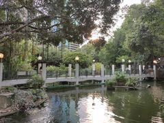 -九龙公园