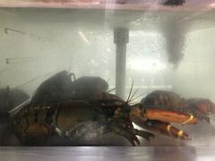 -99大华超市(罗兰岗店)