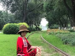 -永定河休闲森林公园