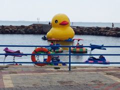 iphone_upload_pic-秦皇岛乐岛海洋王国