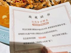 -阿五黄河大鲤鱼(纬三路店)