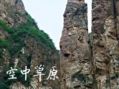 -空中草原