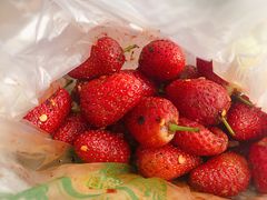 -雪儿钱局泡菜
