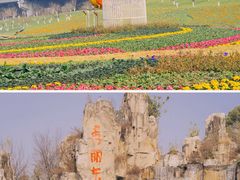 -秀丽东方