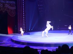 -珠海横琴长隆《卡卡虎奇遇记》