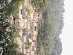 -杨家堂村