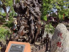 -大槐树寻根祭祖园