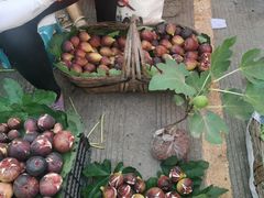 -南坛综合农贸市场