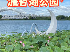 -澹台湖公园