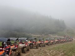 -武陵山森林公园