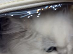 -联合动物医院(光谷诊疗中心)