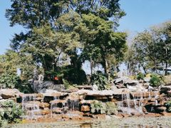 -东莞植物园