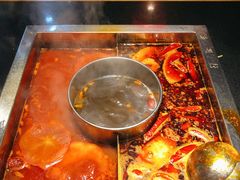 番茄鸳鸯锅-蜀江龙火锅(339店)