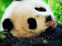 -中国湿地博物馆