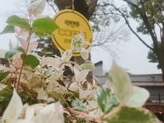 -灯塔咖啡馆BOOK·Coffee Shop
